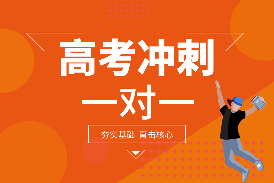 金博高考冲刺一对一辅导课程