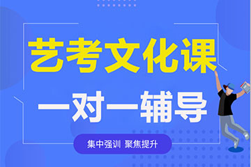 金博艺考文化课一对一辅导课程